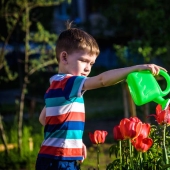 8 cool ideas on how to entertain a child in the country 8 cool ideas on how to entertain a child in the country