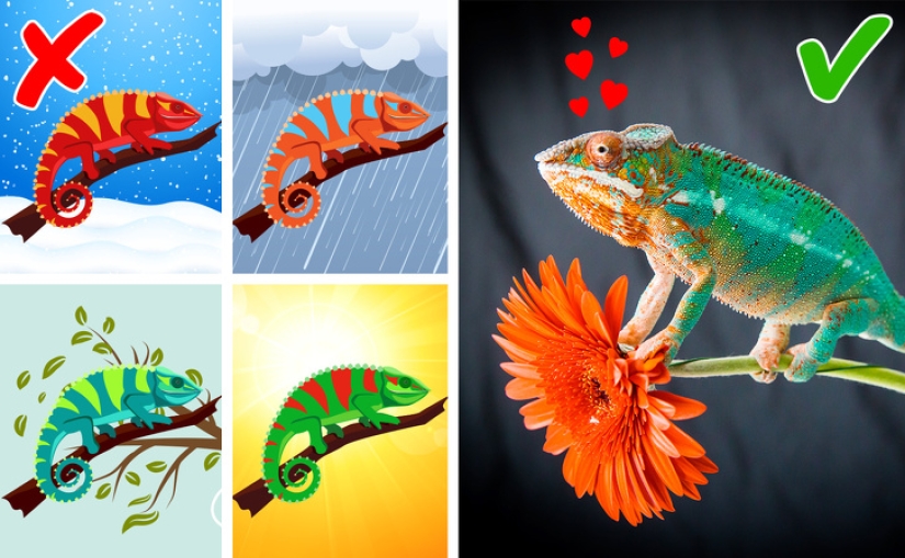 8 creencias científicas que declaramos oficialmente falsas