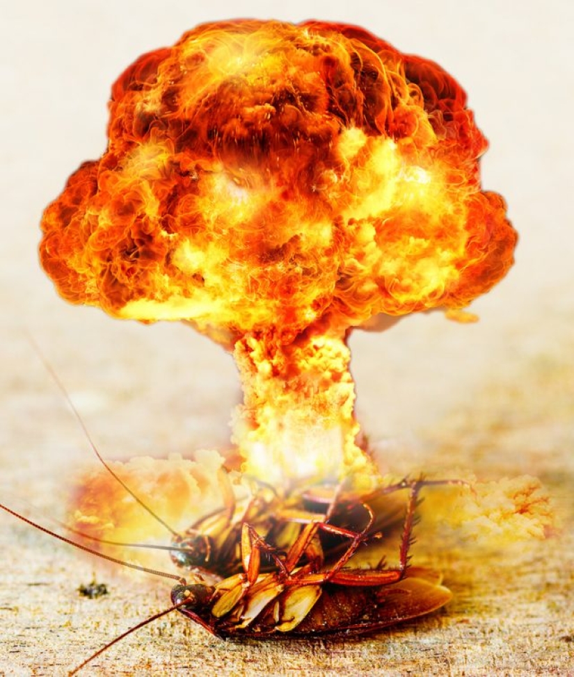 8 creencias científicas que declaramos oficialmente falsas