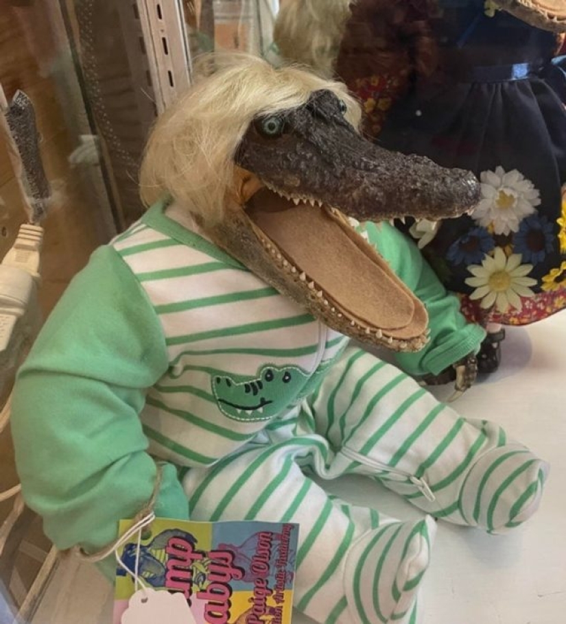 8 Designers Whose Creativity Really Knows No Boundaries