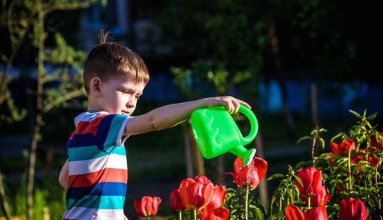 8 ideas geniales sobre cómo entretener a un niño en el campo