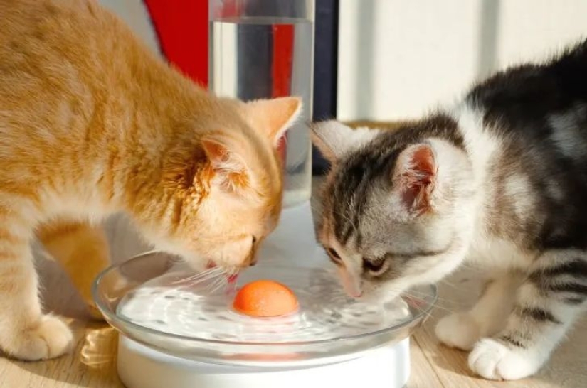 8 inventions that make the world a better place to live