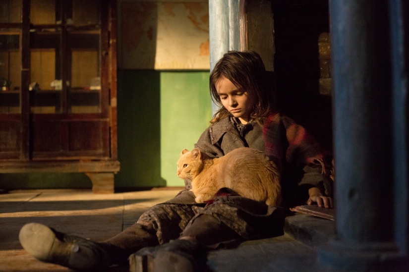 8 Modern War Films that You should watch