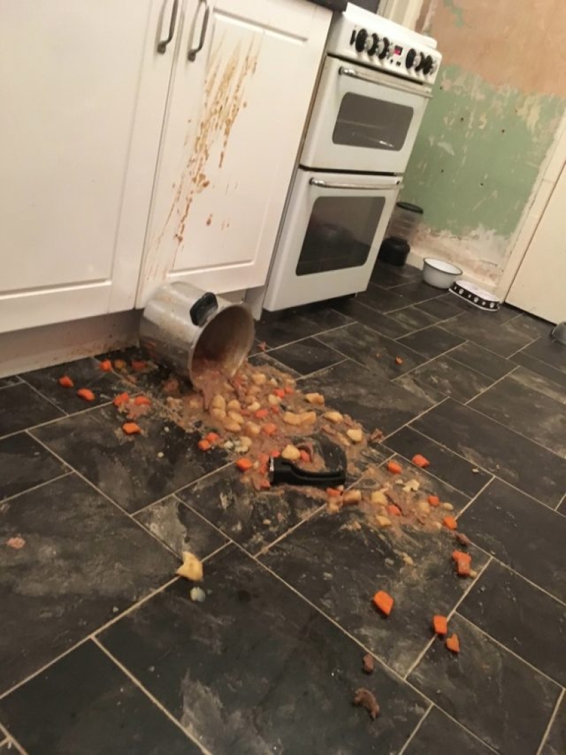 8 photos that capture the pain of saying "This is not my day" 8 photos that capture the pain of saying "This is not my day"