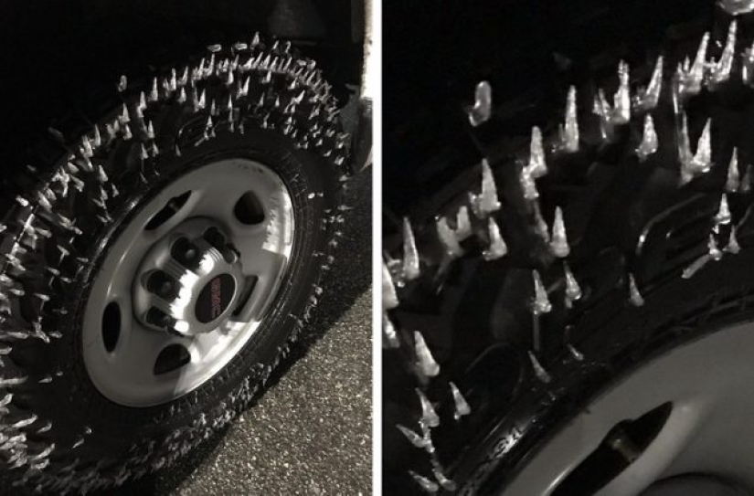 8 photos where the magic is in the details