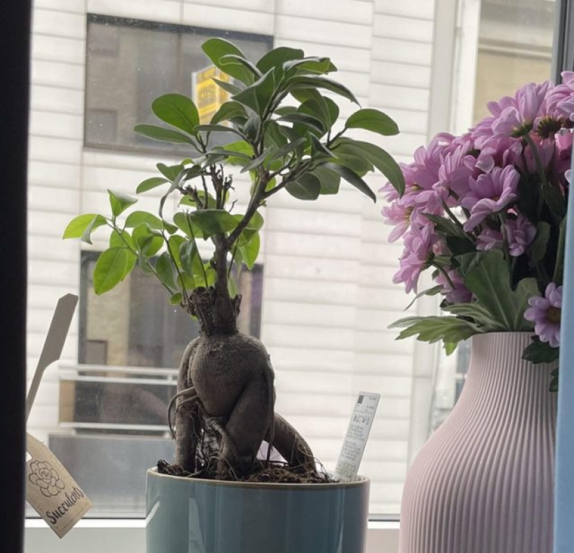 8 photos where the magic is in the details
