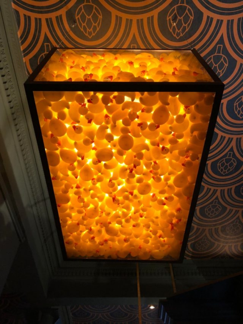 8 photos where the magic is in the details
