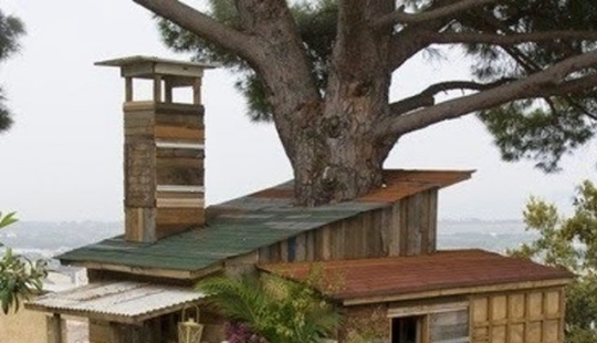 8 poderosas fotos que prueban que nuestro planeta todavía tiene una oportunidad