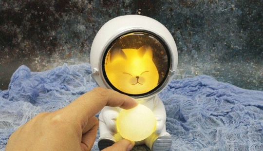 8 products from AliExpress that you can't buy in a regular store 8 products from AliExpress that you can't buy in a regular store