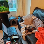 8 Reddit Users Revealed What Happens When They Work From Home