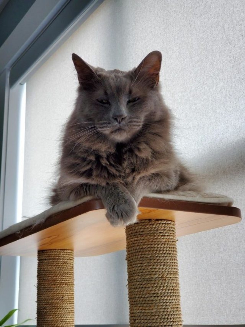 8 Reddit Users Revealed What Happens When They Work From Home