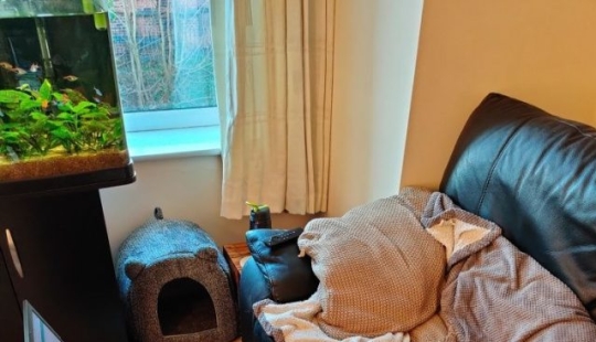 8 Reddit Users Revealed What Happens When They Work From Home