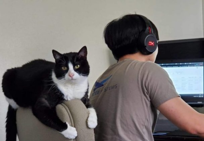 8 Reddit Users Revealed What Happens When They Work From Home