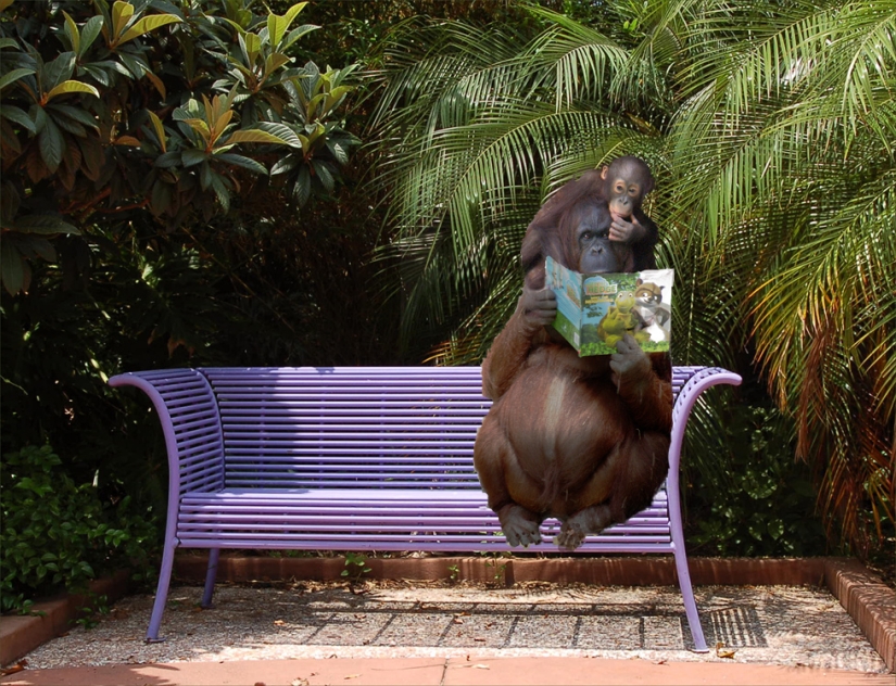 8 scientific reasons why you should read books