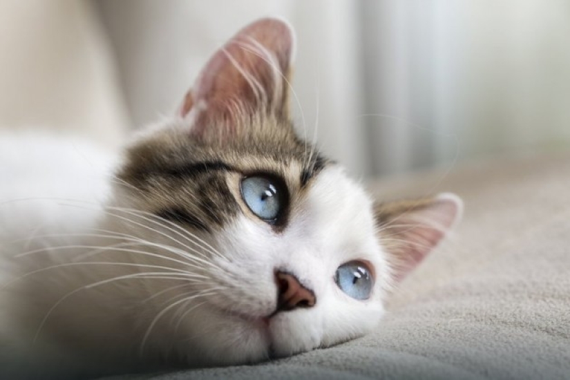 8 señales de que eres más inteligente que los demás