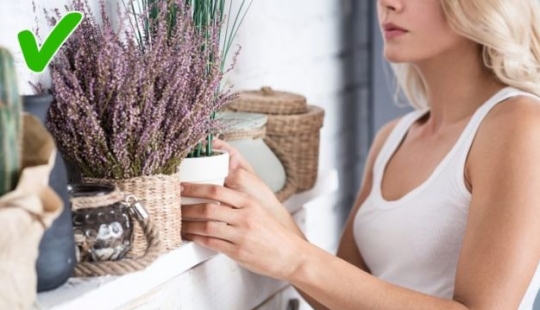 8 things to help you control your anger 8 things to help you control your anger