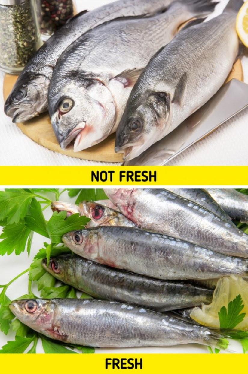 8 tips to help you choose fresh produce