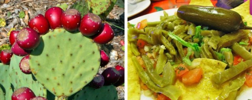 8 Unexpected Things You Can Eat