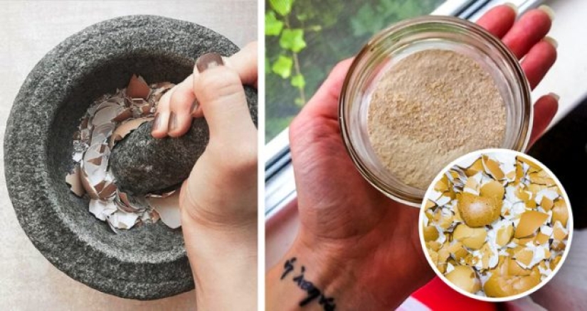 8 Unexpected Things You Can Eat