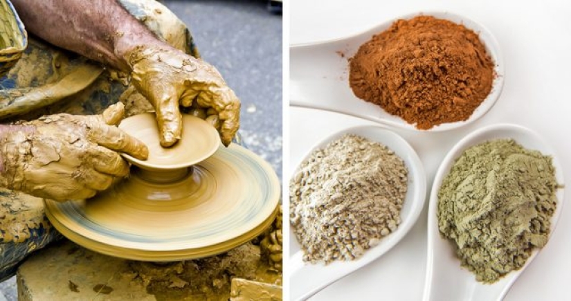 8 Unexpected Things You Can Eat