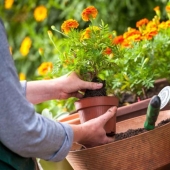 8 Useful products for flower growers from Aliexpress
