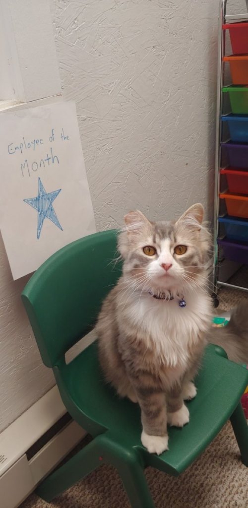 8 usuarios de Reddit revelaron lo que sucede cuando trabajan desde casa