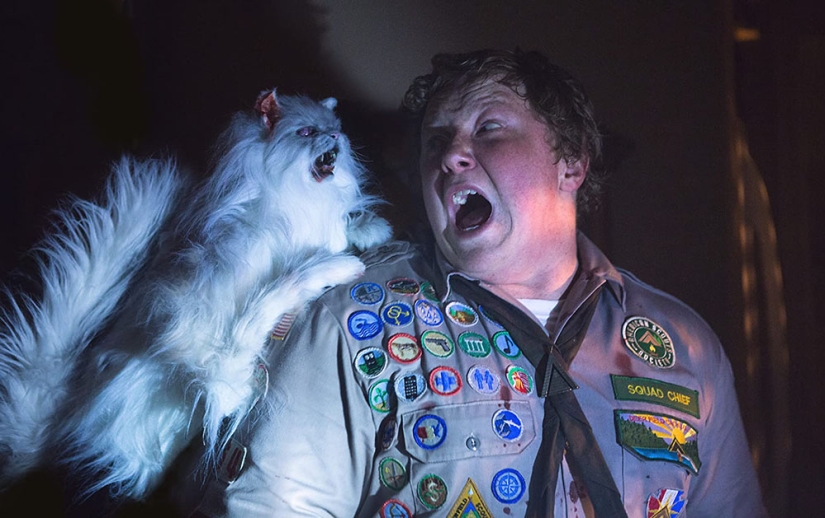 8 very strange zombie movies 8 very strange zombie movies