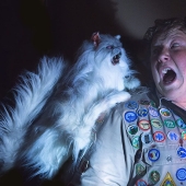 ​8 very strange zombie movies