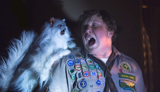 ​8 very strange zombie movies