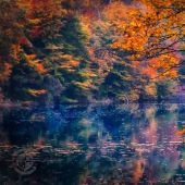 8 wonders of nature that are actually man-made 8 wonders of nature that are actually man-made