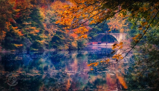 8 wonders of nature that are actually man-made