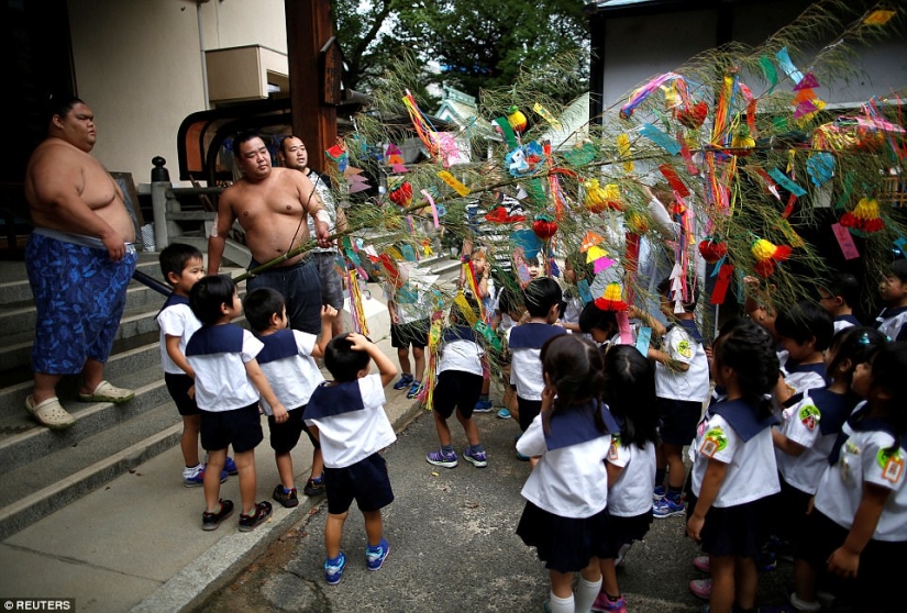 8000 calorías al día y máscaras de oxígeno: cómo viven los luchadores de sumo 8000 calorías al día y máscaras de oxígeno: cómo viven los luchadores de sumo