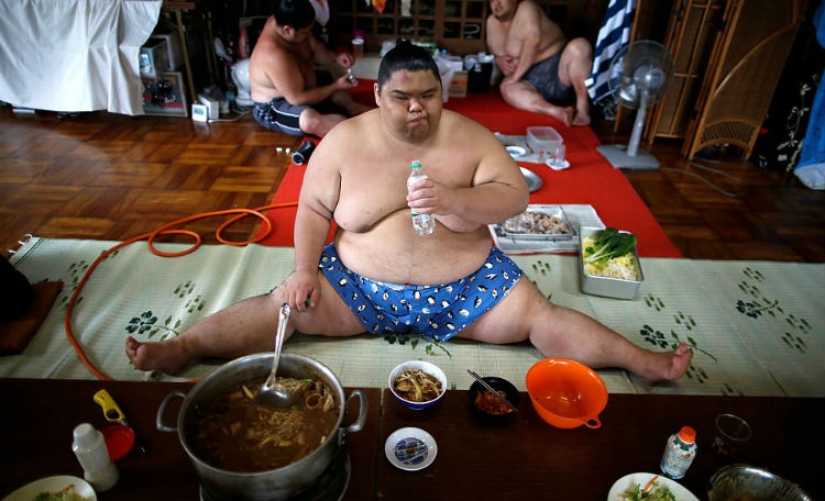 8000 calories a day and oxygen masks: how sumo wrestlers live 8000 calories a day and oxygen masks: how sumo wrestlers live