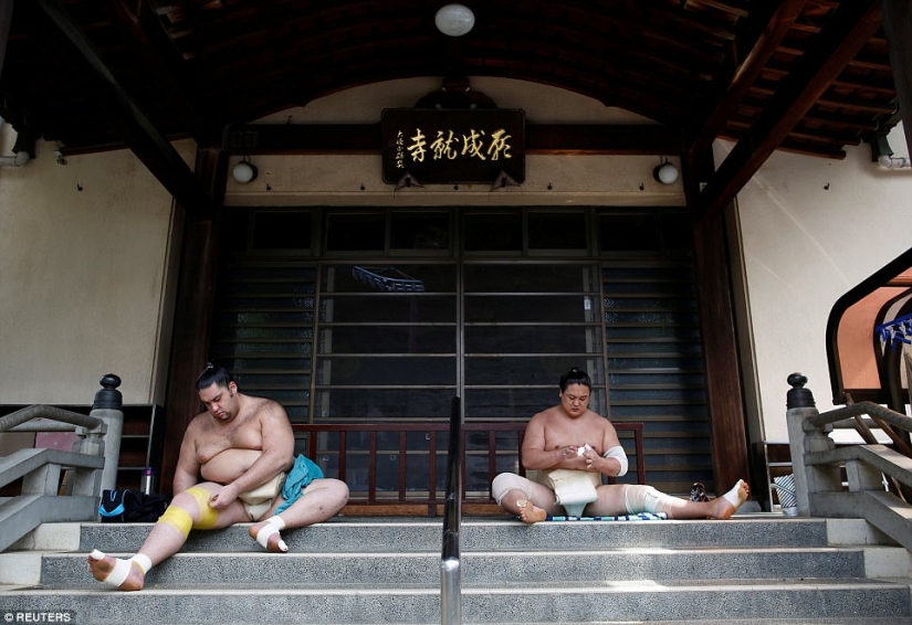 8000 calories a day and oxygen masks: how sumo wrestlers live 8000 calories a day and oxygen masks: how sumo wrestlers live