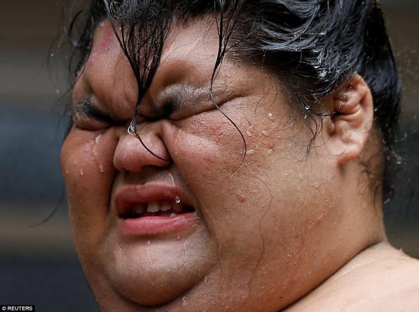 8000 calories a day and oxygen masks: how sumo wrestlers live 8000 calories a day and oxygen masks: how sumo wrestlers live