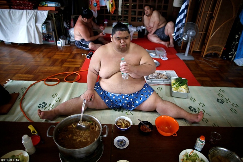 8000 calories a day and oxygen masks: how sumo wrestlers live 8000 calories a day and oxygen masks: how sumo wrestlers live