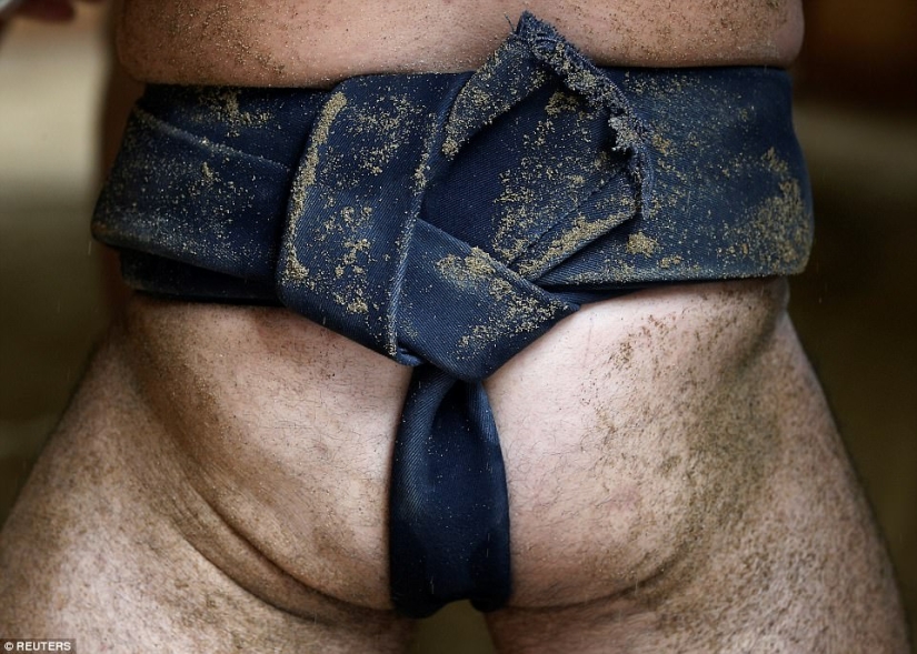 8000 calories a day and oxygen masks: how sumo wrestlers live 8000 calories a day and oxygen masks: how sumo wrestlers live