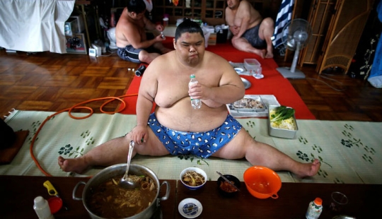 8000 calories a day and oxygen masks: how sumo wrestlers live