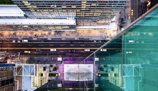 9 Amazing Finds That Caught People Off Guard