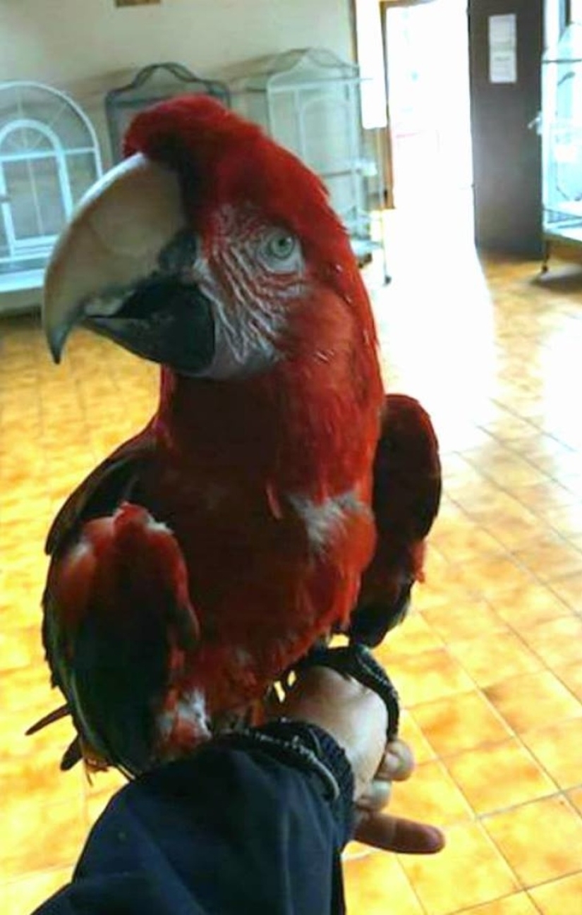 9 Animals Who Exceeded Their Lifespan And Lived Many Long Happy Years 9 Animals Who Exceeded Their Lifespan And Lived Many Long Happy Years