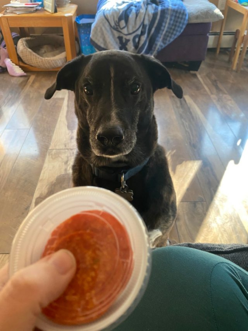 9 Cases When Friendship And Kindness Overcame All Barriers 9 Cases When Friendship And Kindness Overcame All Barriers