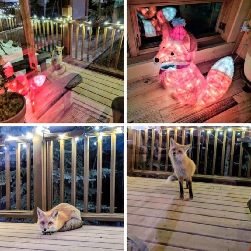 9 Cases When Friendship And Kindness Overcame All Barriers 9 Cases When Friendship And Kindness Overcame All Barriers