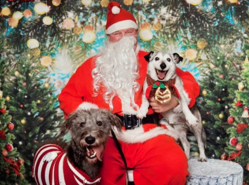 9 Cases When Friendship And Kindness Overcame All Barriers 9 Cases When Friendship And Kindness Overcame All Barriers