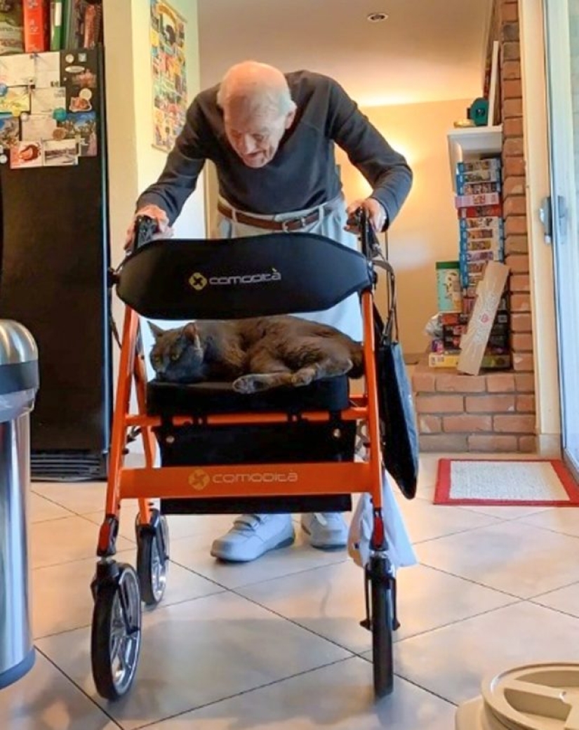 9 casos en los que la amistad y la bondad superaron todas las barreras