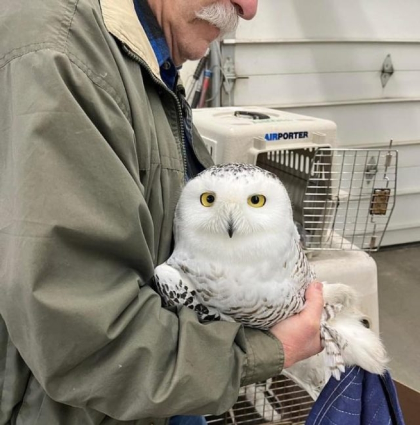 9 casos en los que la amistad y la bondad superaron todas las barreras