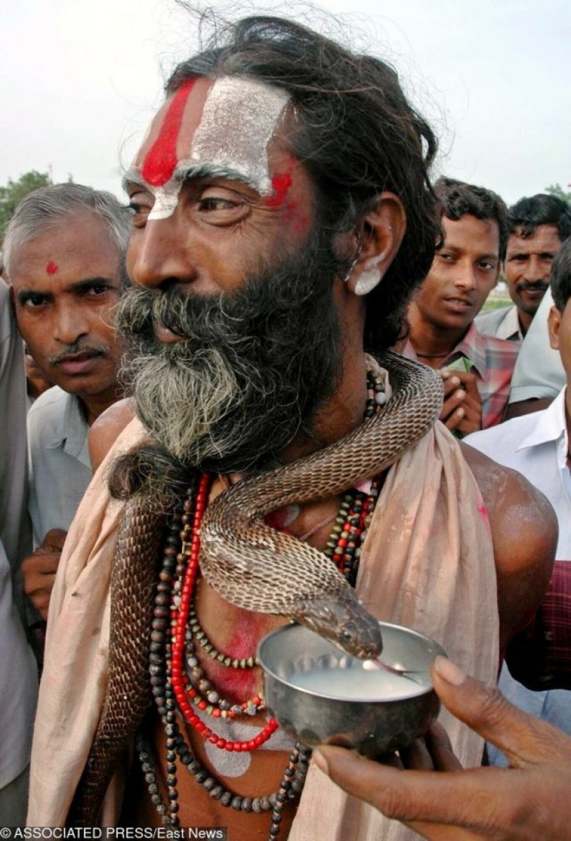 9 cosas que no puedes ver en ningún otro lugar que no sea India