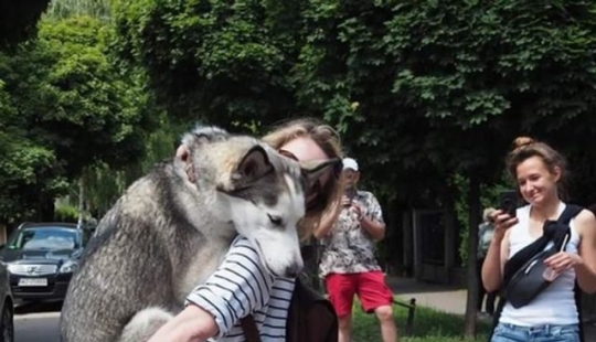 9 dog reactions that will make you howl with laughter 9 dog reactions that will make you howl with laughter