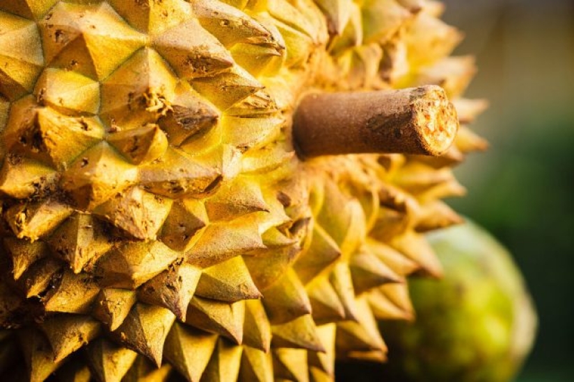9 Foods You Rarely See on an Airplane