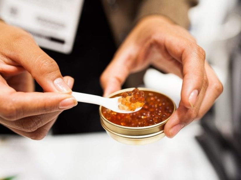 9 Foods You Rarely See on an Airplane