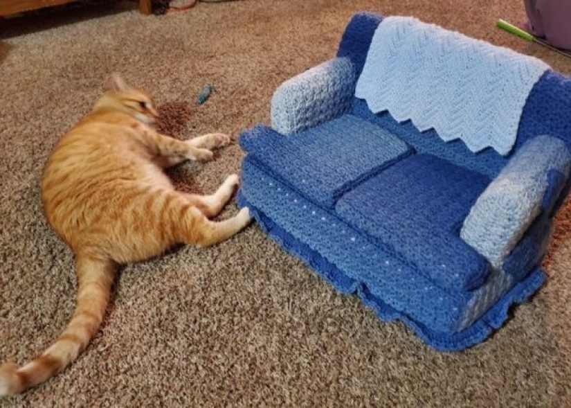 9 fotos de gatos que prueban que nunca los entenderemos 9 fotos de gatos que prueban que nunca los entenderemos